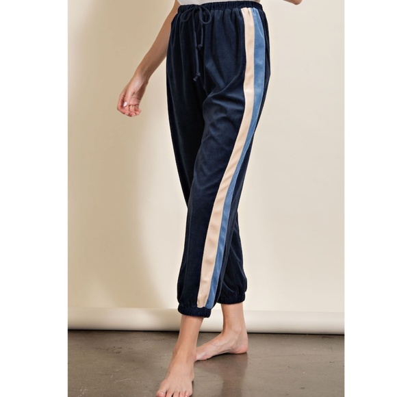 "The Willow" Blue Velour Joggers - Picture 2 of 3